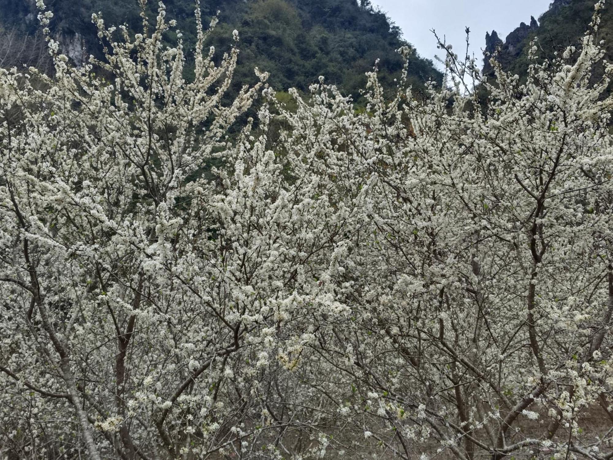 Quang Thuan Ban Gioc Homestay Cao Bang Zewnętrze zdjęcie